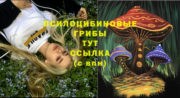 PSILOCYBIN Вязьма