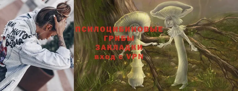 Галлюциногенные грибы MAGIC MUSHROOMS  как найти закладки  Новодвинск 